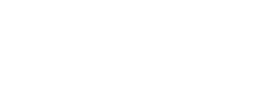 Reach Global Program